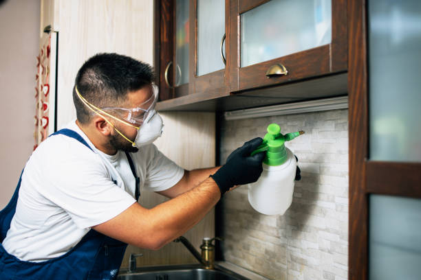 Best Wildlife Control Services  in Kualapuu, HI